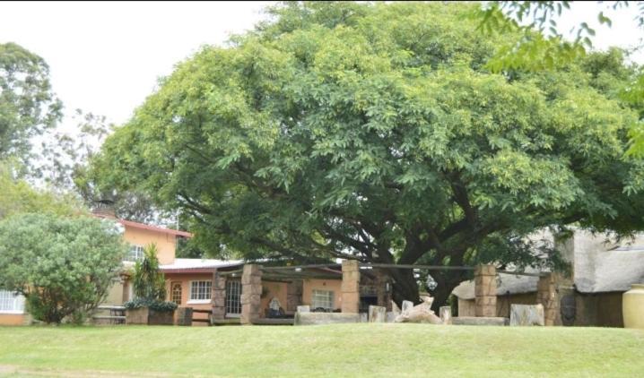 Anna Boeremeisie Guesthouse Benoni Zimmer foto